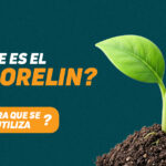 ¿Qué es Sermorelin y para qué se utiliza?